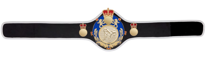 QUEENSBURY PRO LEATHER KICKBOXING CHAMPIONSHIP BELT - QUEEN/BLUE/G/KBOG - 10+ COLOURS QUEENSBURY PRO LEATHER KICKBOXING CHAMPIONSHIP BELT - QUEEN/BLUE/G/KBOG - 10+ COLOURS